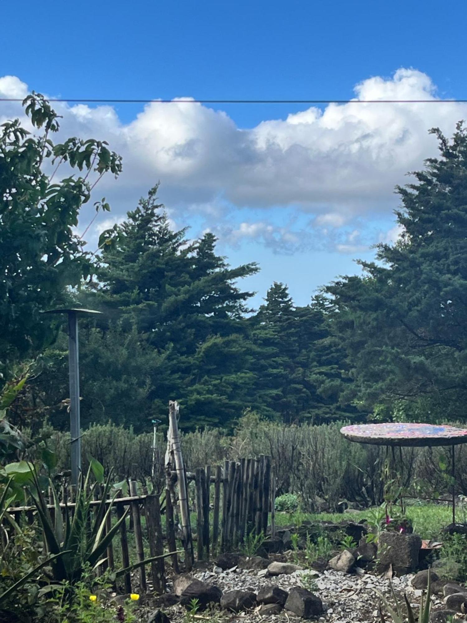 Apartamento Artesana Monteverde 外观 照片