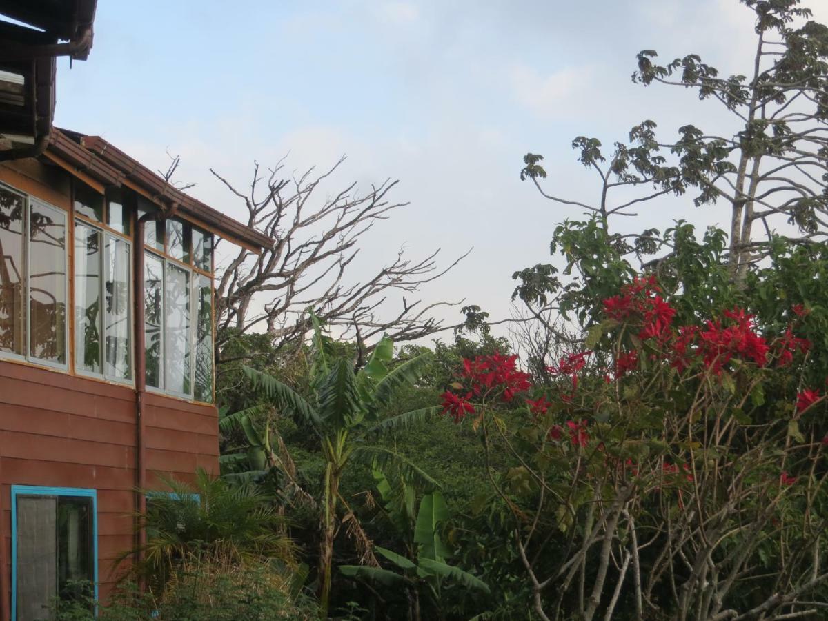 Apartamento Artesana Monteverde 外观 照片